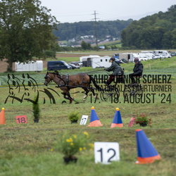 Einspänner Pony Kat. M/S