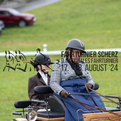 Zweispänner Pony Kat. M/S