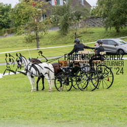 Zweispänner Pony Kat. L