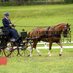 Einspänner Pferde Kat. M